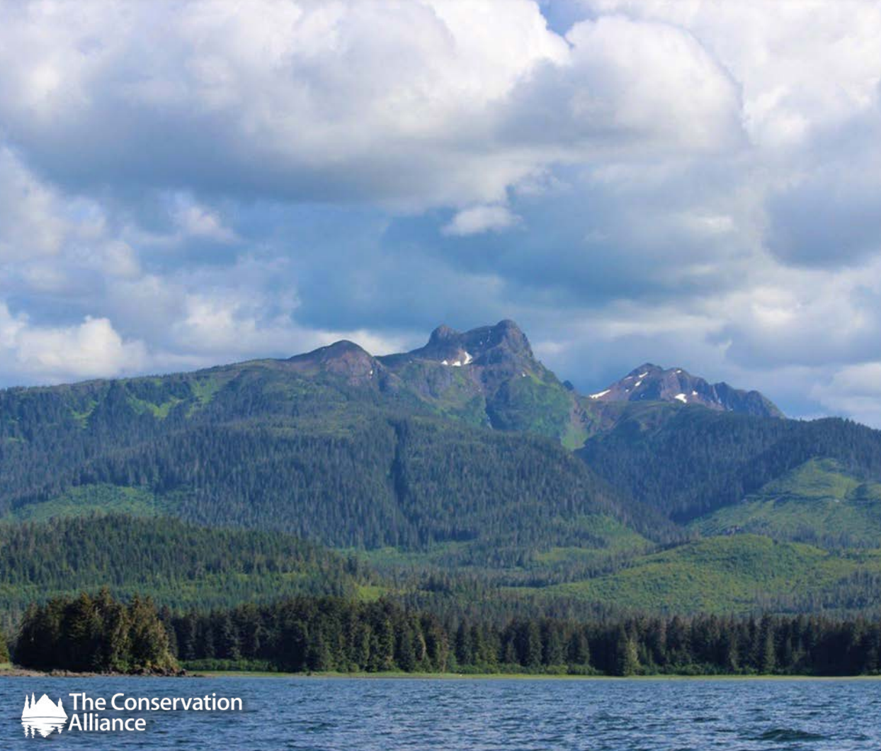 Conservation Alliance Winners Announced!