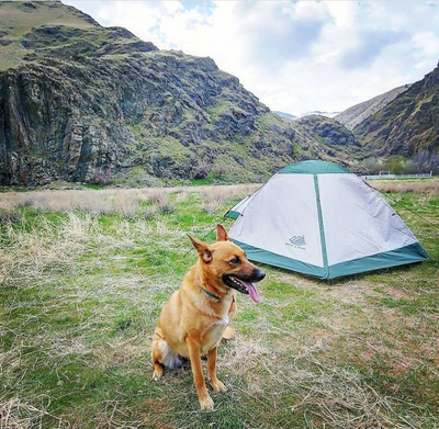 Yosemite 1 Person Backpacking Tent with Footprint